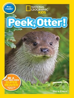 cover image of Peek, Otter